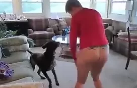Cachorro de porte grande fodendo com sua dona