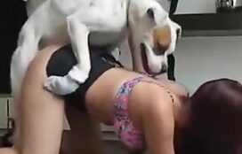Novinha puta dando para cachorro de quatro